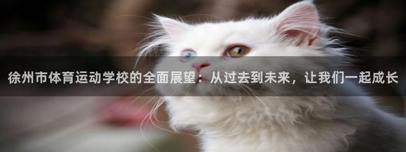 米兰体育官网下载招商电话号码