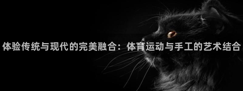 米兰体育官方正版app神州