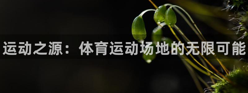 米兰体育官网下载娱乐：运动之源：体育运动场地的无限可