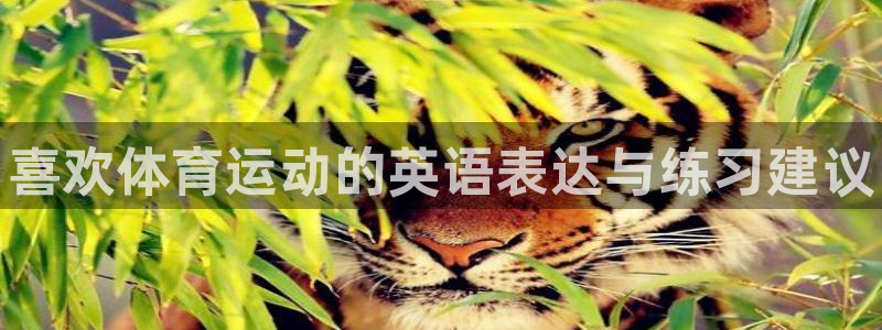 米兰体育官方正版app集团E.ON：喜欢体育运动的英