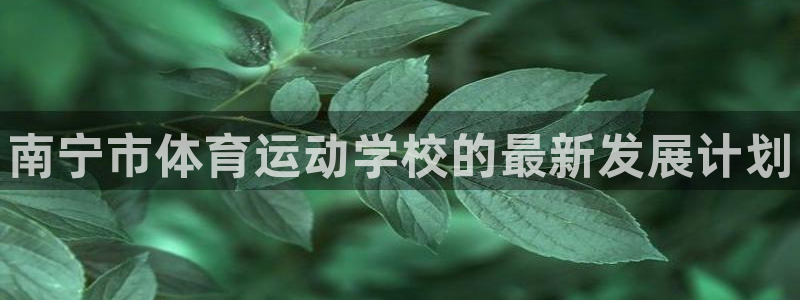 米兰体育官网下载官方客服电话：南宁市体育运动学校的最新发展计