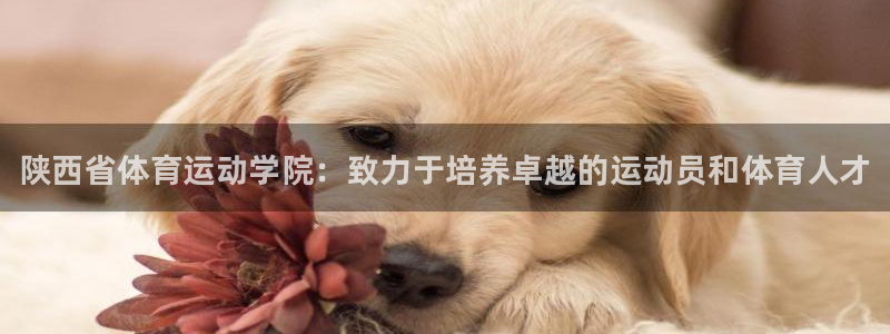 米兰体育官方正版app代理