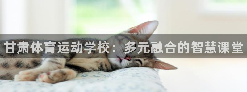 米兰体育官网下载平台是正规平台吗安全吗