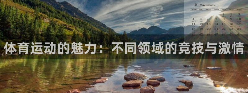 米兰体育官方正版app娱乐网站：体育运动的魅力：不同