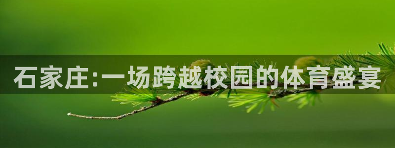 米兰体育官网下载注册：石家庄:一场跨越校园的体育盛宴