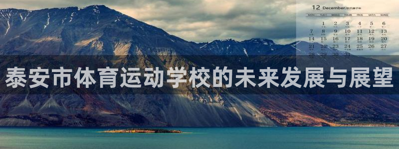 米兰体育官方正版app五金厂：泰安市体育运动学校的未