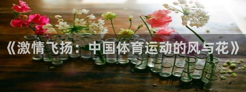 米兰体育官网下载招商电话地址：《激情飞扬：中国体育运动的风与
