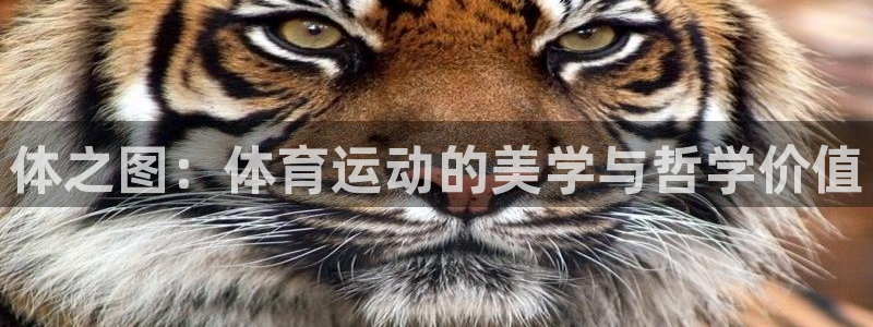 米兰体育官网下载平台注册要钱吗：体之图：体育运动的美