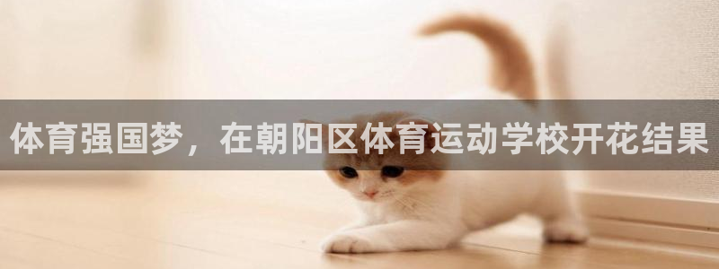 米兰体育官网下载招商电话是多少：体育强国梦，在朝阳区体育运动