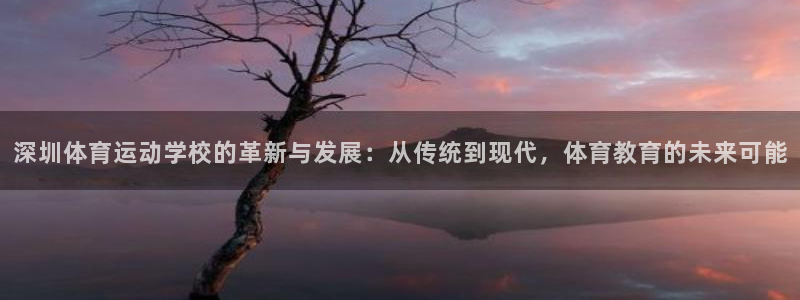 米兰体育官方正版app五金厂：深圳体育运动学校的革新与发展：