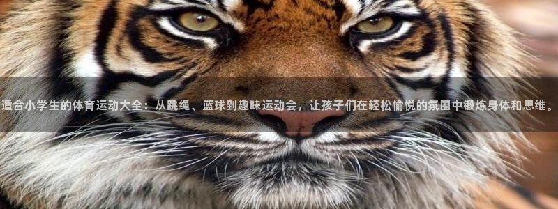 米兰体育官网下载招商电话号码是多少：适合小学生的体育