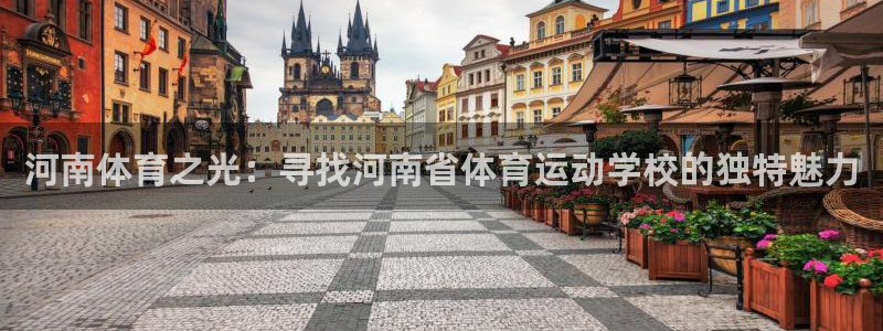 米兰体育官方正版app官方：河南体育之光：寻找河南省体育运动