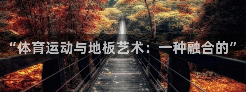 米兰体育官方正版app代理：“体育运动与地板艺术：一种融合的