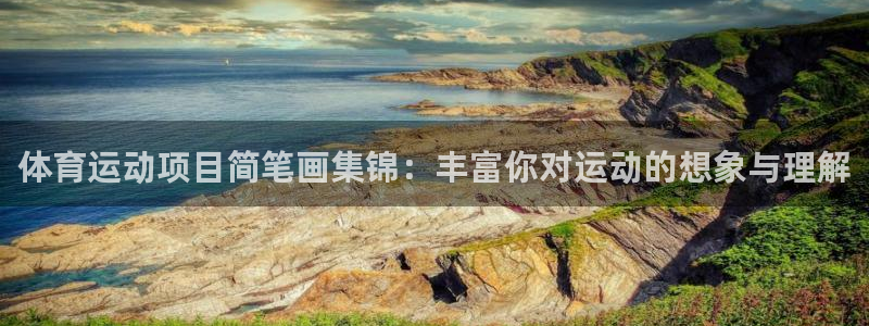 米兰体育官方正版app集团官网首页网址：体育运动项目简笔画集