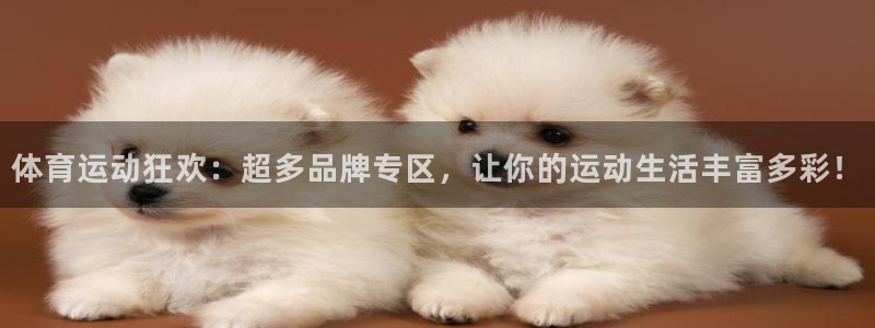 米兰体育官网下载平台假的吗是真的吗吗：体育运动狂欢：超多品牌