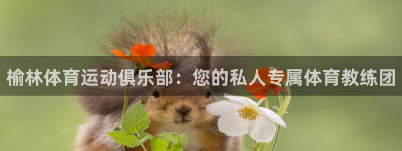 米兰体育官网下载招商电话是多少号码